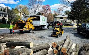 Best Lawn Drainage Solutions  in Whiskey Creek, FL