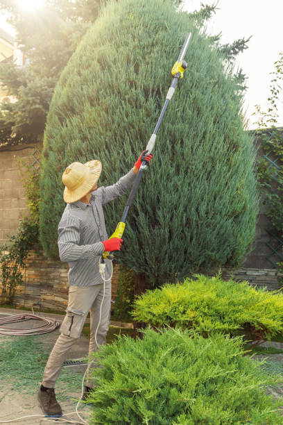 Best Arborist Consultation Services  in Whiskey Creek, FL